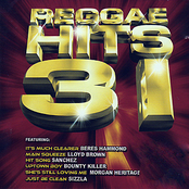 Reggae Hits 31