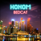 Bedcat by Honom