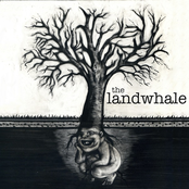 Cortisol by The Landwhale