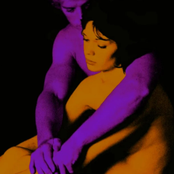 Not Allowed (Hoodtrap Flip) - Single