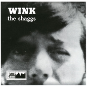 Little Girl by The Shaggs