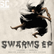 Separate Sense by Swarms