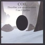 Ostia (the Death Of Pasolini) by Coil