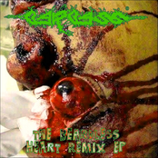 The Beardless Heart Remix EP