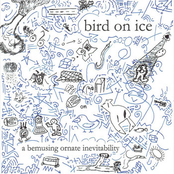 a bemusing ornate inevitability