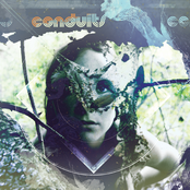 Misery Train by Conduits