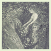 Le Marécage aux Secrets Hermétiques