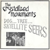 Dog...Tree...Satellite Seers