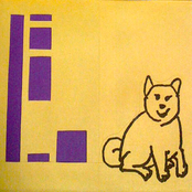 shimettainu album 2011.08