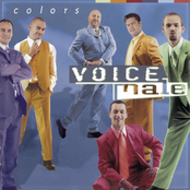 Voices Of Angels by Voice Male