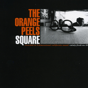 All The World Could Pass Me By by The Orange Peels