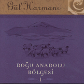 Gul Harmani Dogu Anadolu Bolgesi