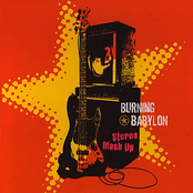Trouble Dub by Burning Babylon