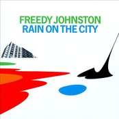 Rain On The City by Freedy Johnston