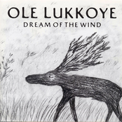 Dream Of The Wind