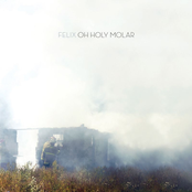 Oh Holy Molar by Felix