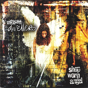 Shop Worn Angel by Urban Dwellers