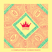 Common Culture Vol. 3: A Compilation by Connor Franta