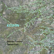 Keshin