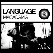MACADAMiA (single)