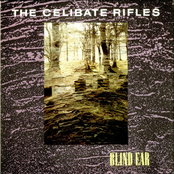 Johnny by The Celibate Rifles