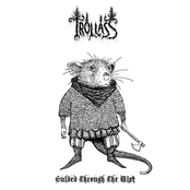 Guided Through The Mist