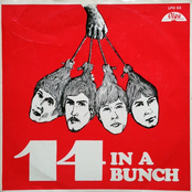 In a Bunch