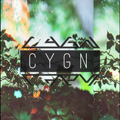 c y g n