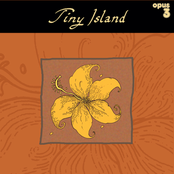 Tiny Island