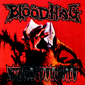 Necrotic Bibliphilia