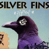 Feel Like A Pig by Silver Fins