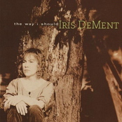 I'll Take My Sorrow Straight by Iris Dement