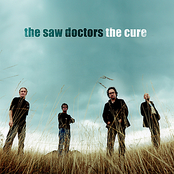 the cure