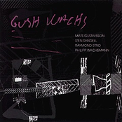 Gushwachs