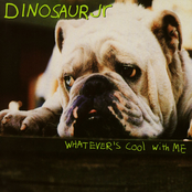 Pebbles + Weeds by Dinosaur Jr.