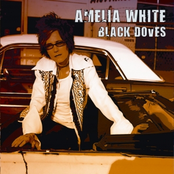 Amelia White: BLACK DOVES
