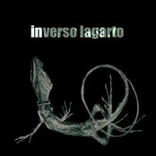 Base K by Inverso Lagarto