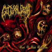 Seraphic Excruciations by Guttural Decay