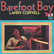 Call To The Higher Consciousness by Larry Coryell
