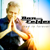 She Runs Free by Don Felder