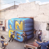 Wallace (New Edition)