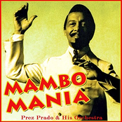 Mambo Mania