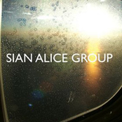 Grow Again, Repeat by Sian Alice Group