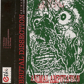 Animal Amputation by Brutal Dissection