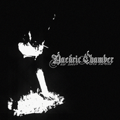 The Bleak Veil Endures