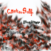 Camellias Songs