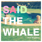 Little Bird by Said The Whale