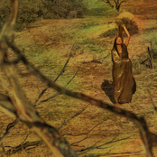 No Springtime - Single