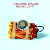 ... And The Fighting Takes Over by The Teardrop Explodes