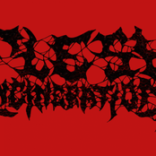 Flesh Incineration